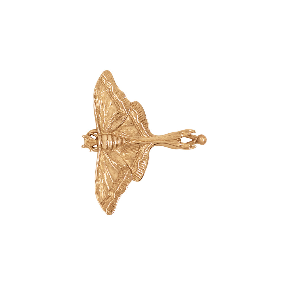 Luna Moth Barrette in Bronze