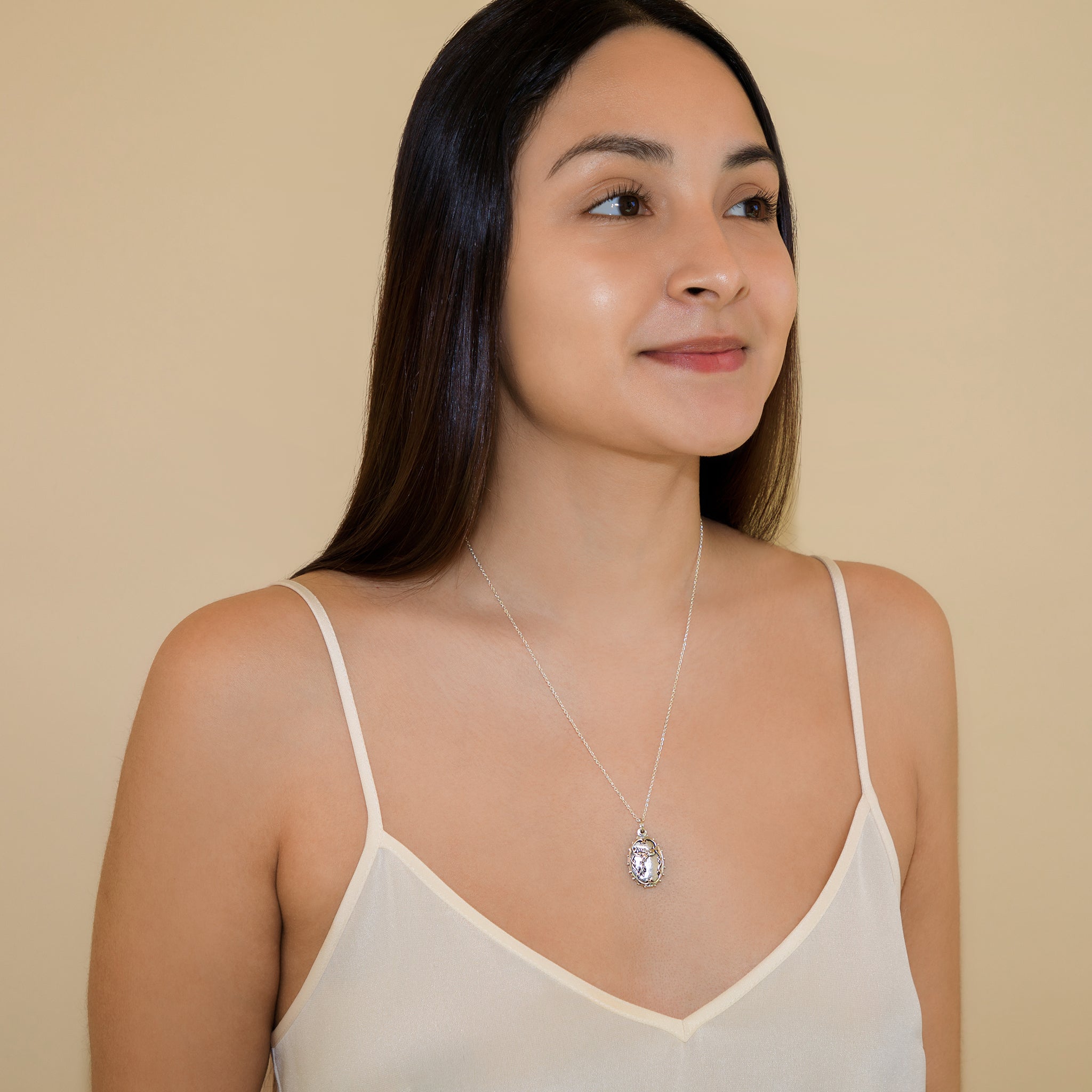 Phoenix Locket Necklace in Bronze with Silver Flash Plate