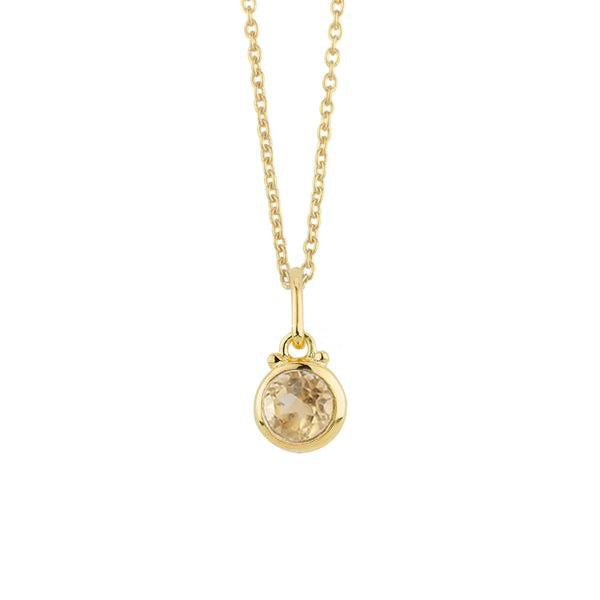 November Birthstone Charm Necklace in Gold - FINAL SALE