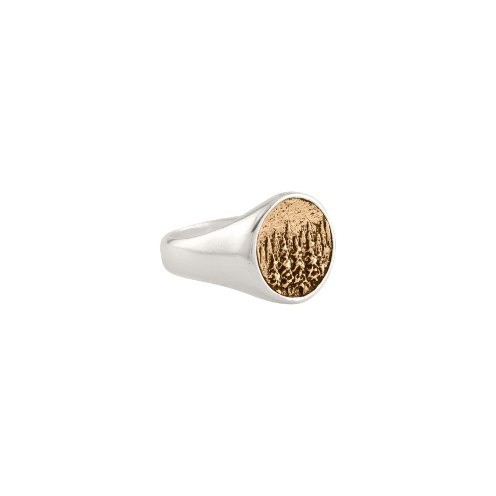 Elements Signet Ring - See the Forest for the Trees in Bronze - FINAL SALE
