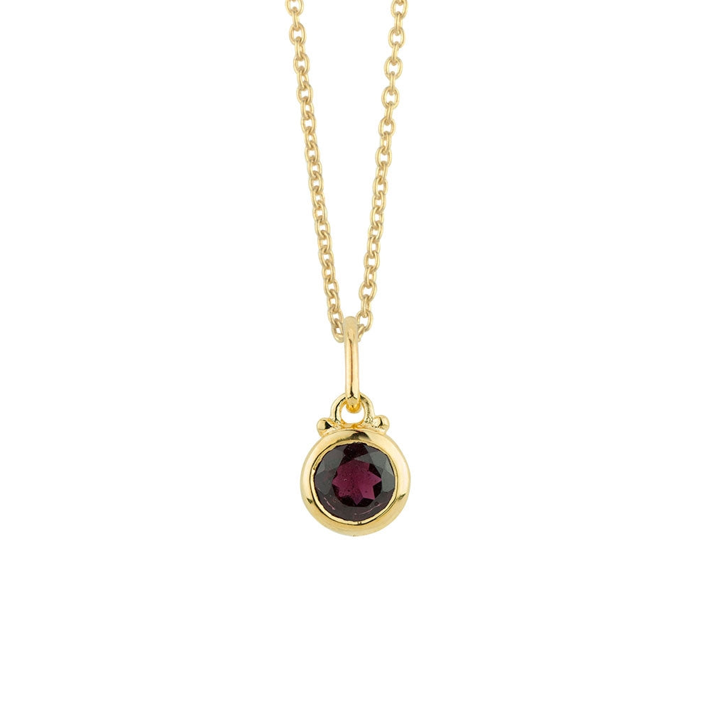January Birthstone Charm Necklace in Gold - FINAL SALE