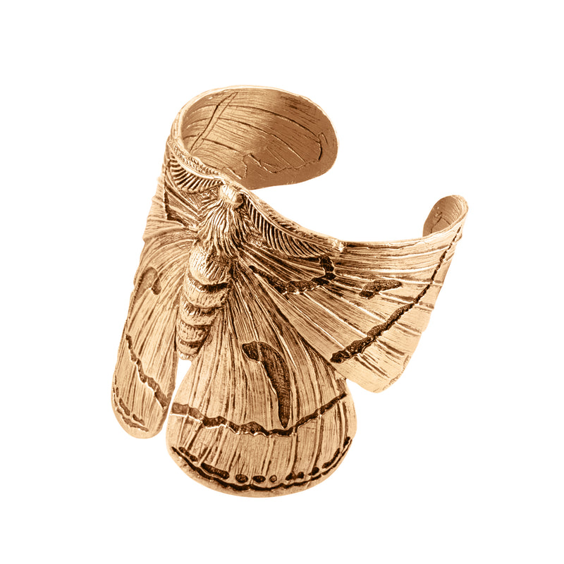 Majestic Moth Cuff in Bronze