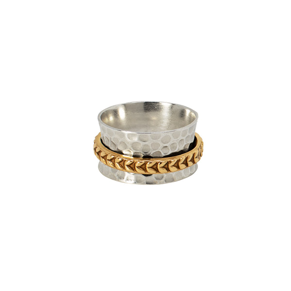 Braided Worry Ring in Silver & Gold