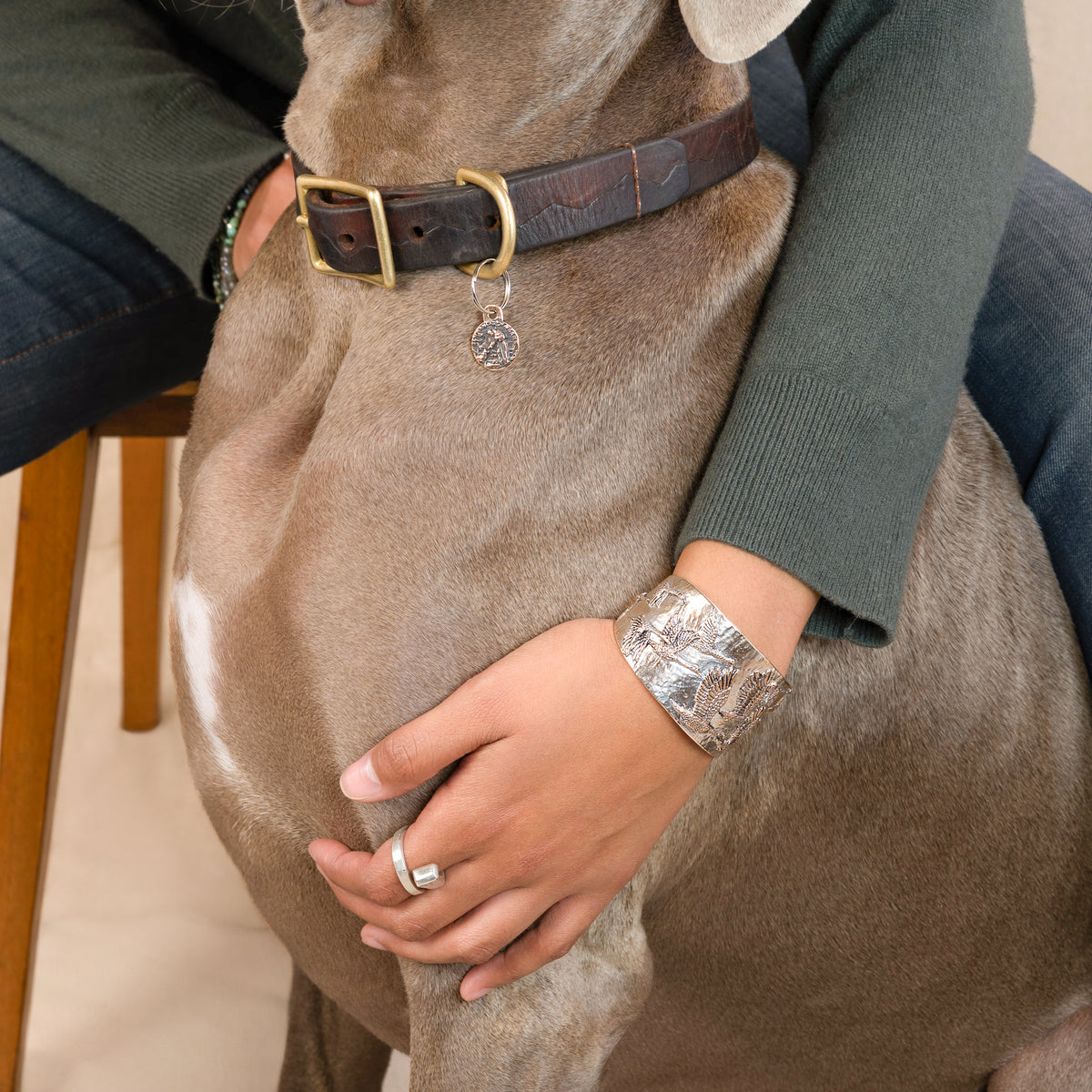 Pet Protector Charms - Saint Francis