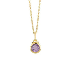 February Birthstone Charm Necklace