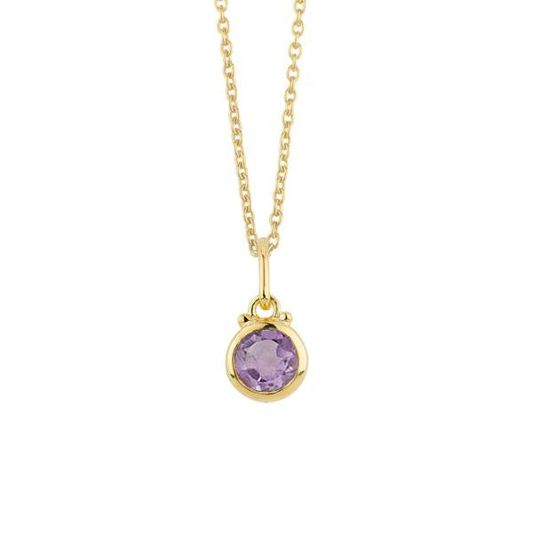 February Birthstone Charm Necklace