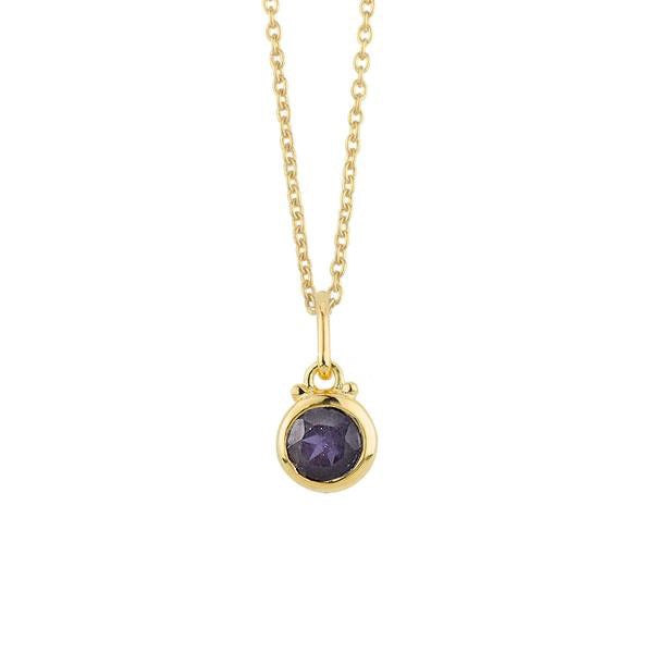 September Birthstone Charm Necklace in Gold
