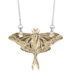 Luna Moth Necklace in Bronze