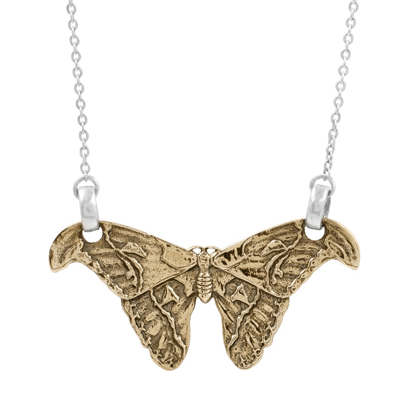 Atlas Moth Necklace in Bronze