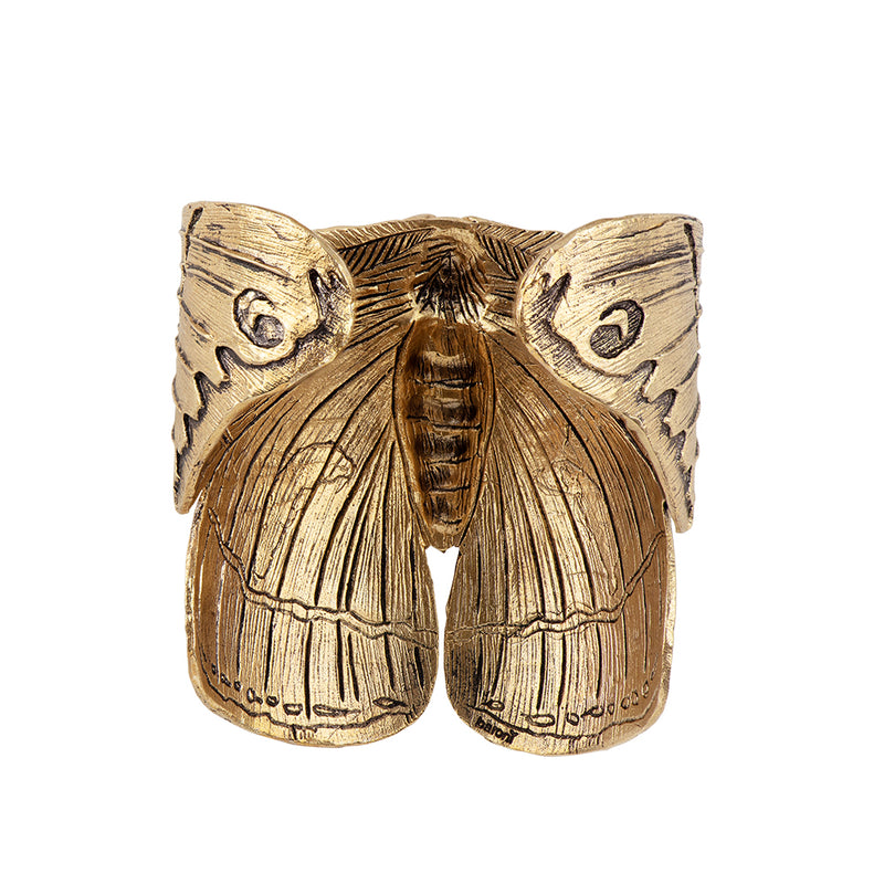 Majestic Moth Cuff in Bronze
