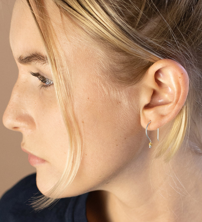 Small Curve Earring in Silver
