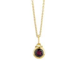 January Birthstone Charm Necklace in Gold