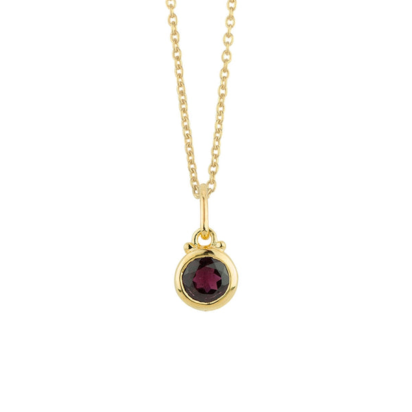January Birthstone Charm Necklace in Gold