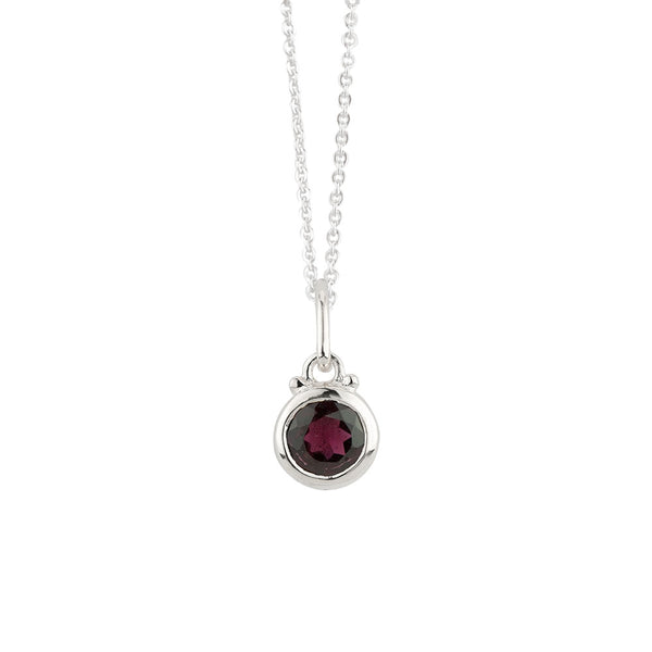 January Birthstone Charm Necklace in Silver